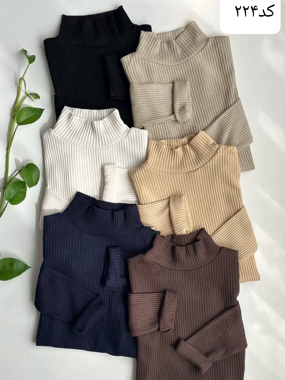 محصول ویژه ۱